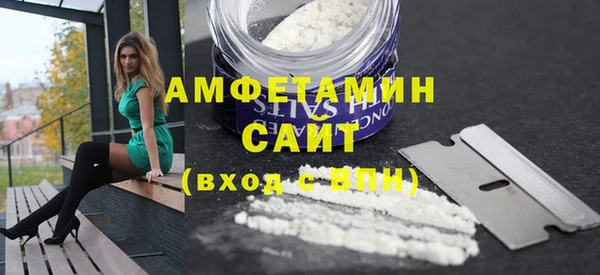 шишки Богородицк